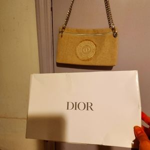 Dior pouch bag